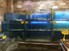 水产区-赶海部落海鲜城(海阳路店)