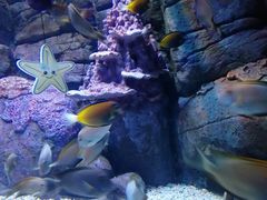 -成都浩海立方海洋公园