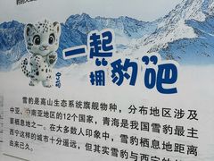-青藏高原野生动物园