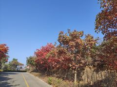 -博山九龙峪风景区