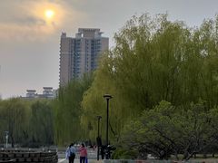 -莲花池公园