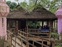 -西双版纳原始森林公园
