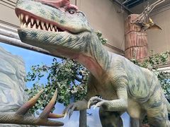 -国家自然博物馆