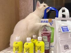 -喜茶(武汉范湖万达广场店)