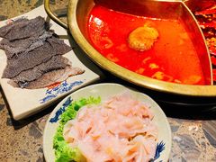 -Xiao Long Kan Hotpot Sydney 小龙坎老火锅