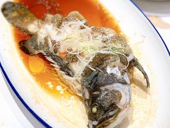 老虎斑-阿明小菜·海鲜·上海菜(梅陇华理店)