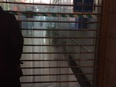 -上海市徐汇区口腔医院