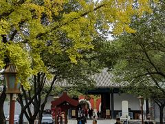 -北京国子监胡同