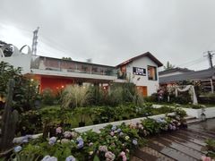 -云里小坐·小院里·团建·宴请·下午茶(三圣乡店)