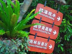 -呀诺达热带雨林