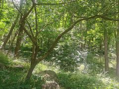 -封龙山风景区