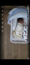 -baby bella小贝拉母婴护理中心(杭州凯宾斯基店)