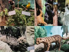 -重庆中国三峡博物馆(重庆博物馆)