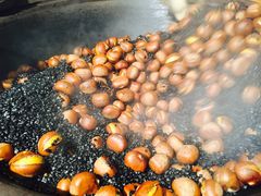 -老海栗子(五四路店)