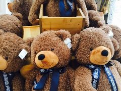 -济州岛泰迪熊博物馆