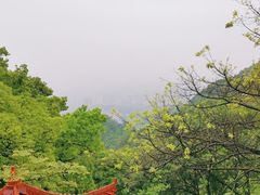 -林中乐辣子鸡(歌乐山总店)