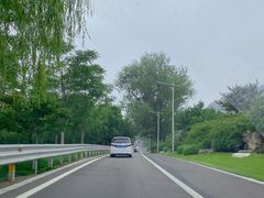-Local泰莲庭(虹鳟鱼店)