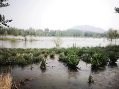 -门城湖公园