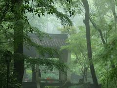 -虎跑公园