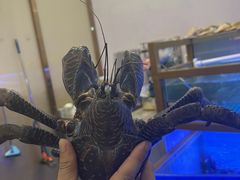 -膳富贵黄油蟹体验馆(欢乐港湾店)
