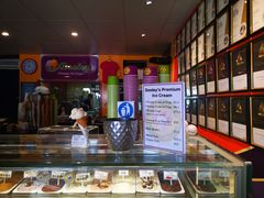 -Dooley's Premium Ice Cream