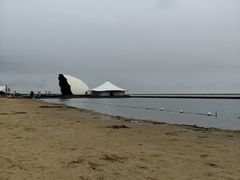 -碧海金沙