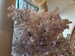 -碧水豪园·足浴·SPA·汗蒸·那须汤泉(中山东路店)