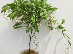 -八里庄西里
