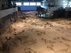 -自贡恐龙博物馆