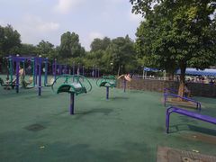 -荆川公园