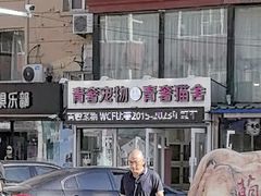 -青奢宠物·青奢猫舍