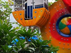 -南宫五洲植物乐园