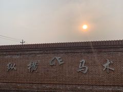 -北京群众马术培训基地