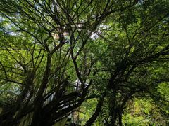 -五龙源极限漂流