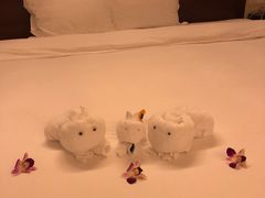 -三亚亚龙湾雅高铂尔曼别墅度假酒店