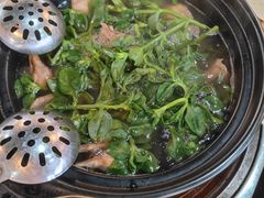 -一煲鸽
