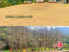 -马峦山郊野公园