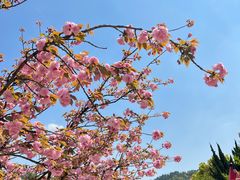 -白马涧龙池景区