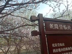 -桃花堤公园