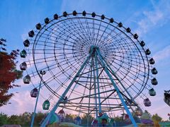 -洋湖国家湿地公园