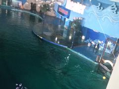 -苏州海洋馆