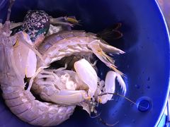 -澜悦港海鲜体验主题餐厅