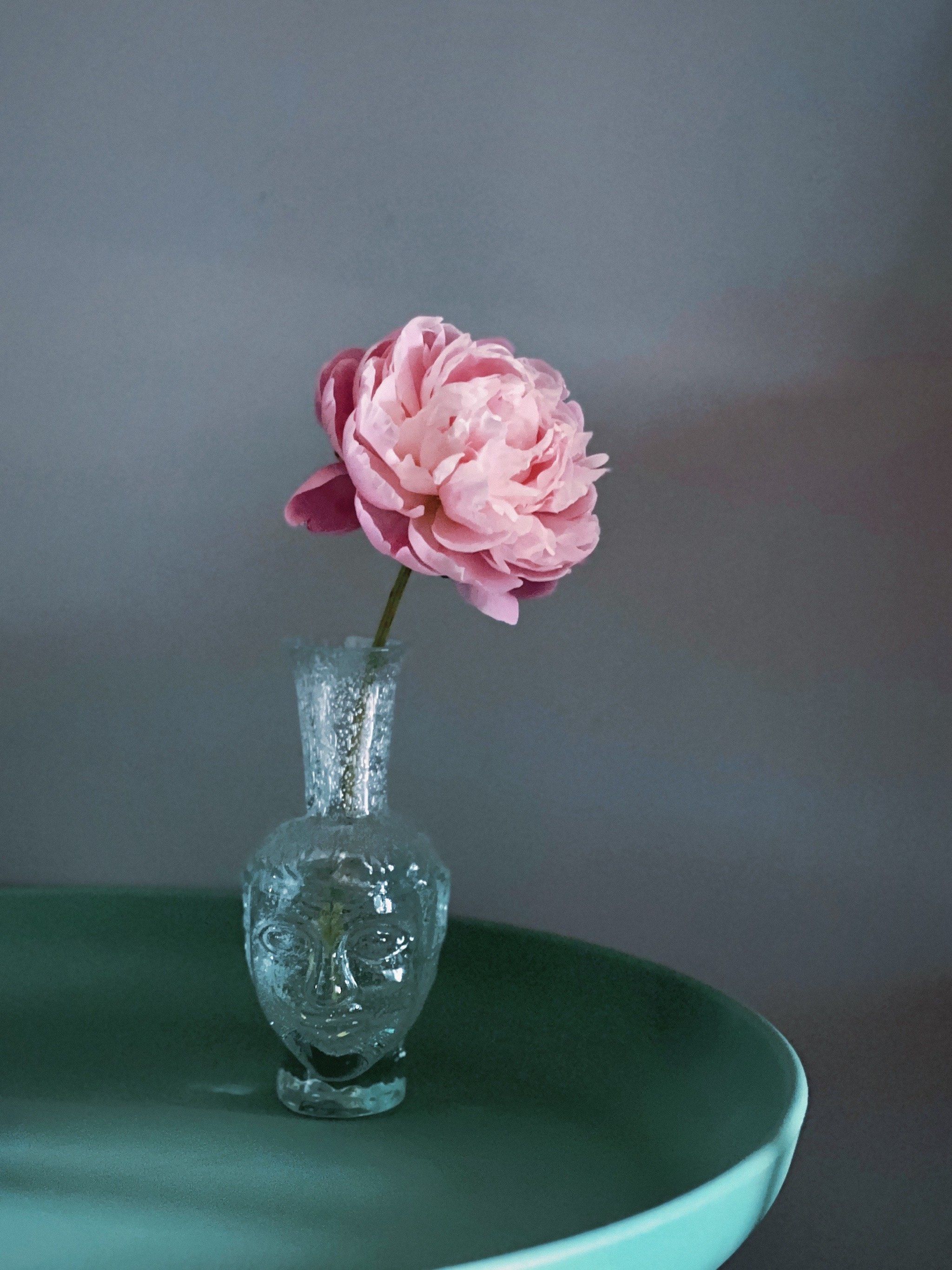 我的万能小花瓶