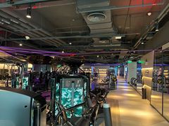 -VIP 威尔仕健身·游泳(嘉华中心店)