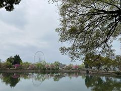 -无锡蠡湖国家湿地公园-蠡园