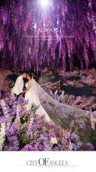 点击看大图 -情订奇缘婚纱摄影(和平路店)