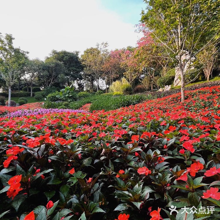 南宁不去后悔一辈子的景点