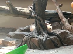 -宁波野生动物园