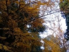 -金堂县云顶石城风景区