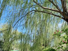 -元大都城垣遗址公园